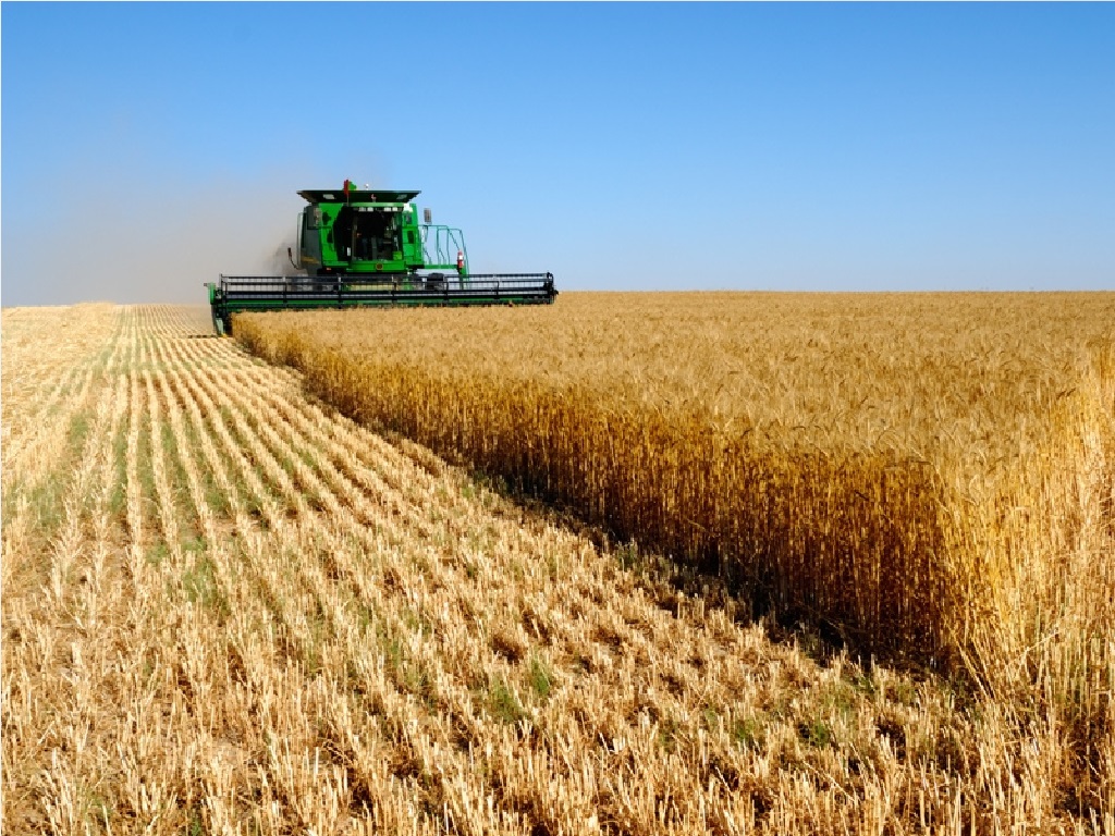 Estudios Económico-Financieros en Agronegocios